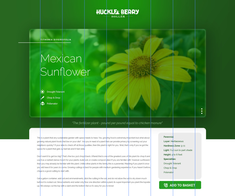 huckleberry holler website plant page for Mexican sunflower