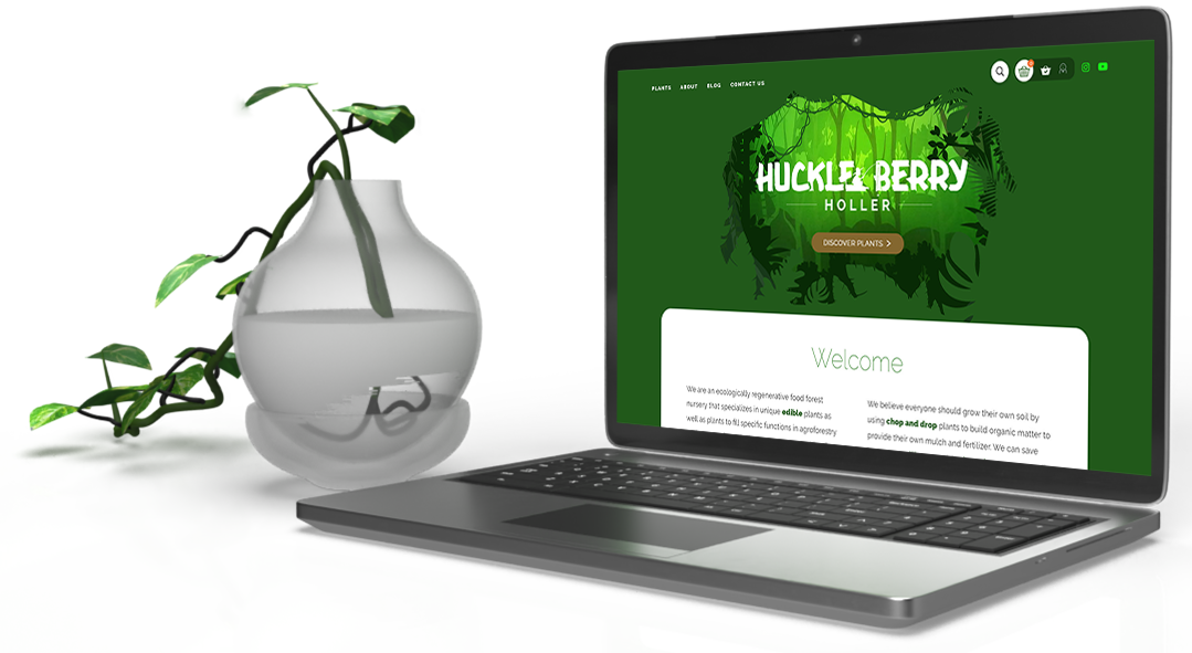 Huckleberry holler website 3d mockup