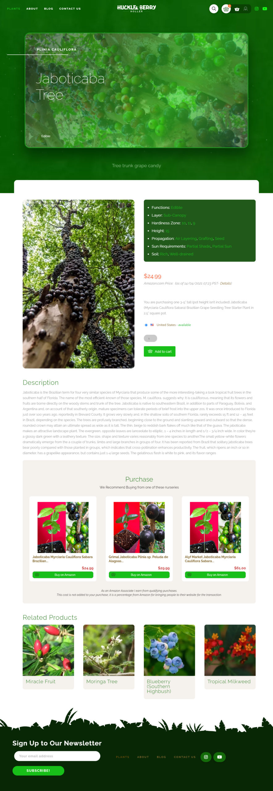 huckleberry holler website plant page for jaboticaba tree full page